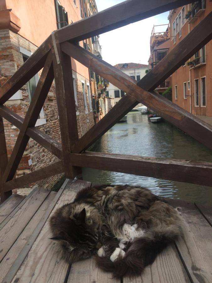 Lejlighed Tintoretto Vista Real *